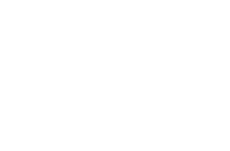 Grand Canal Capital Partners